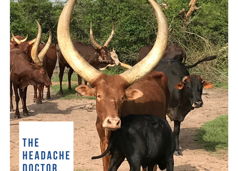 Holy Cow! 10 Facts About Headaches