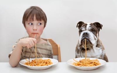 Are the foods you eat impacting your migraines?