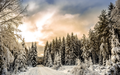 Barometric Pressure Changes and Headaches