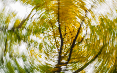 Understanding Dizziness